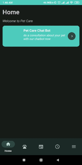 Portofolio Showcase.gif